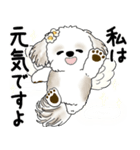 シーズー犬 2025 「天使ちゃん」（個別スタンプ：6）