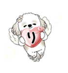 シーズー犬 2025 「天使ちゃん」（個別スタンプ：8）