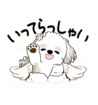 シーズー犬 2025 「天使ちゃん」（個別スタンプ：9）