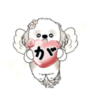シーズー犬 2025 「天使ちゃん」（個別スタンプ：12）