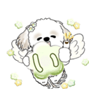 シーズー犬 2025 「天使ちゃん」（個別スタンプ：15）