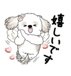 シーズー犬 2025 「天使ちゃん」（個別スタンプ：22）