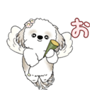 シーズー犬 2025 「天使ちゃん」（個別スタンプ：24）