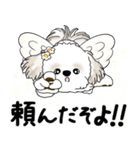 シーズー犬 2025 「天使ちゃん」（個別スタンプ：26）