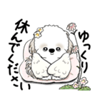 シーズー犬 2025 「天使ちゃん」（個別スタンプ：27）