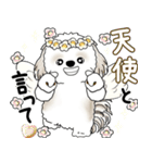 シーズー犬 2025 「天使ちゃん」（個別スタンプ：30）