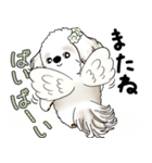 シーズー犬 2025 「天使ちゃん」（個別スタンプ：31）