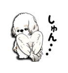 シーズー犬 2025 「天使ちゃん」（個別スタンプ：35）
