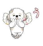 シーズー犬 2025 「天使ちゃん」（個別スタンプ：40）
