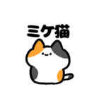 ヌコちゃん！2（個別スタンプ：2）