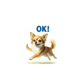 チワワ、chiwawa 2（個別スタンプ：1）