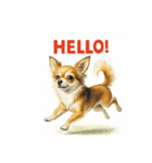 チワワ、chiwawa 2（個別スタンプ：5）