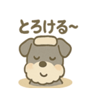 温泉シュナのまったり湯（個別スタンプ：1）