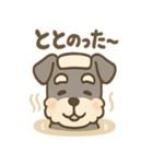 温泉シュナのまったり湯（個別スタンプ：2）