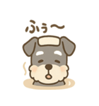 温泉シュナのまったり湯（個別スタンプ：5）