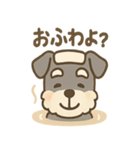 温泉シュナのまったり湯（個別スタンプ：7）