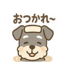 温泉シュナのまったり湯（個別スタンプ：9）
