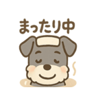 温泉シュナのまったり湯（個別スタンプ：10）