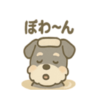 温泉シュナのまったり湯（個別スタンプ：12）
