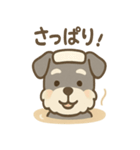 温泉シュナのまったり湯（個別スタンプ：13）