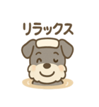 温泉シュナのまったり湯（個別スタンプ：15）