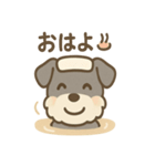 温泉シュナのまったり湯（個別スタンプ：16）