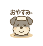 温泉シュナのまったり湯（個別スタンプ：17）