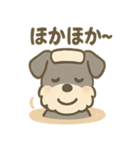 温泉シュナのまったり湯（個別スタンプ：21）