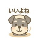 温泉シュナのまったり湯（個別スタンプ：22）