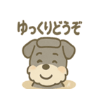 温泉シュナのまったり湯（個別スタンプ：23）