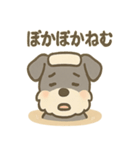 温泉シュナのまったり湯（個別スタンプ：25）