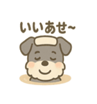 温泉シュナのまったり湯（個別スタンプ：28）