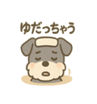 温泉シュナのまったり湯（個別スタンプ：29）