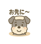 温泉シュナのまったり湯（個別スタンプ：30）
