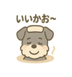 温泉シュナのまったり湯（個別スタンプ：33）