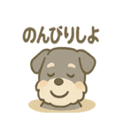 温泉シュナのまったり湯（個別スタンプ：36）