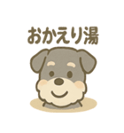 温泉シュナのまったり湯（個別スタンプ：40）
