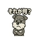 ダンスだいすきなリズムシュナ（個別スタンプ：15）