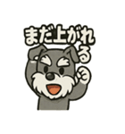 ダンスだいすきなリズムシュナ（個別スタンプ：22）