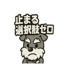 ダンスだいすきなリズムシュナ（個別スタンプ：26）