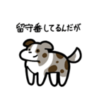 いつでも使えるボーダーコリー（茶マール）（個別スタンプ：6）