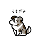 いつでも使えるボーダーコリー（茶マール）（個別スタンプ：12）