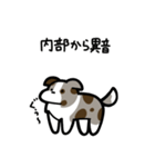 いつでも使えるボーダーコリー（茶マール）（個別スタンプ：27）