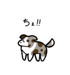いつでも使えるボーダーコリー（茶マール）（個別スタンプ：34）
