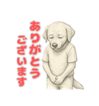 ラブラドールレトリバーの喜怒哀楽スタンプ（個別スタンプ：5）