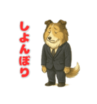 ラフ・コリーの喜怒哀楽スタンプ（個別スタンプ：3）