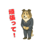 ラフ・コリーの喜怒哀楽スタンプ（個別スタンプ：12）