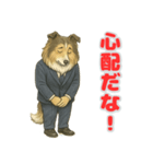 ラフ・コリーの喜怒哀楽スタンプ（個別スタンプ：13）