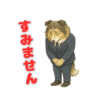 ラフ・コリーの喜怒哀楽スタンプ（個別スタンプ：14）