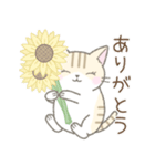 気持ちを伝える☆トラ猫さん（個別スタンプ：1）